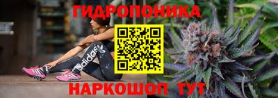МДПВ Славгород