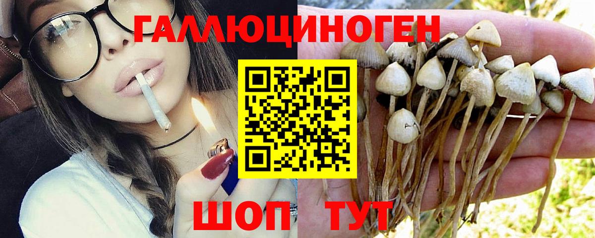 Псилоцибиновые грибы MAGIC MUSHROOMS  Вход с VPN  Новочеркасск 
